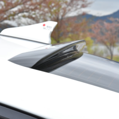 7000092999 — Спойлер на стекло Hyundai Elantra (AD) 