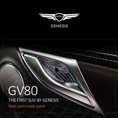 240096251 — Вставки в ручки дверей Genesis GV80 (JX1)