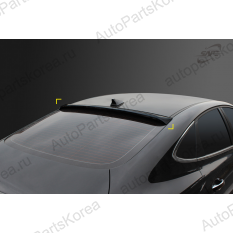 D-892 -Спойлер на заднее стекло Hyundai Sonata (DN8)Спойлер на заднее стекло Hyundai Sonata (DN8)