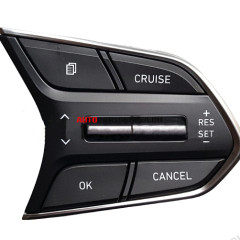 96720S1110, 96720S1130 — Кнопка круиз контроля LIMITER Hyundai Santa Fe 4 (TM)
